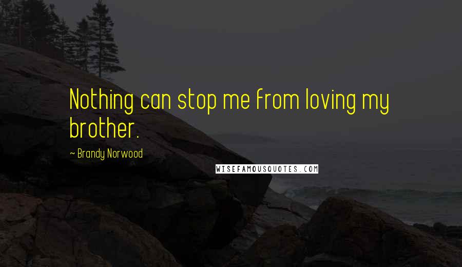 Brandy Norwood Quotes: Nothing can stop me from loving my brother.