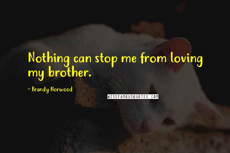 Brandy Norwood Quotes: Nothing can stop me from loving my brother.