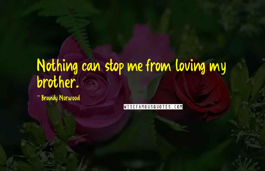 Brandy Norwood Quotes: Nothing can stop me from loving my brother.