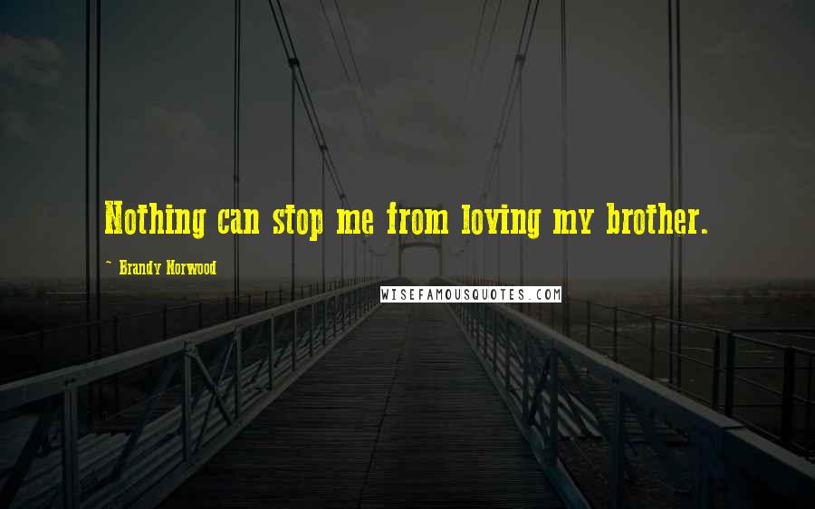 Brandy Norwood Quotes: Nothing can stop me from loving my brother.