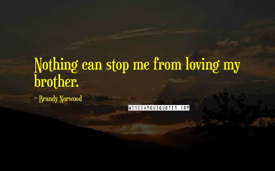 Brandy Norwood Quotes: Nothing can stop me from loving my brother.