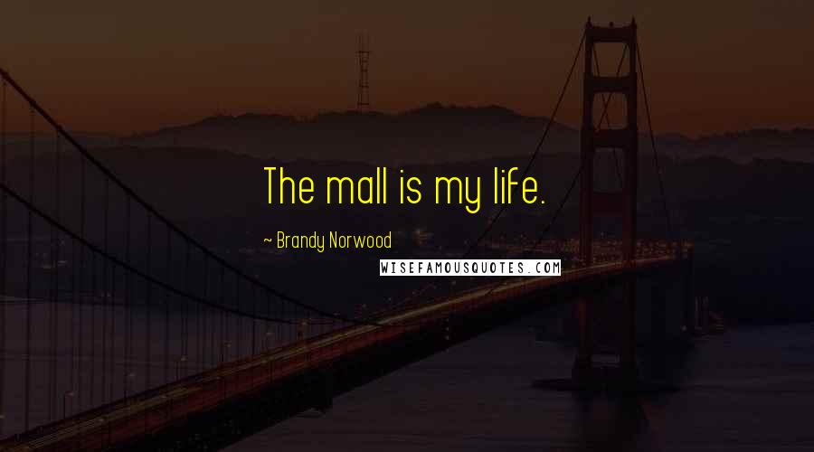 Brandy Norwood Quotes: The mall is my life.