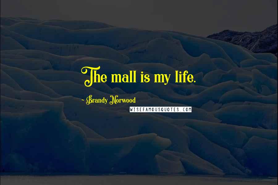 Brandy Norwood Quotes: The mall is my life.
