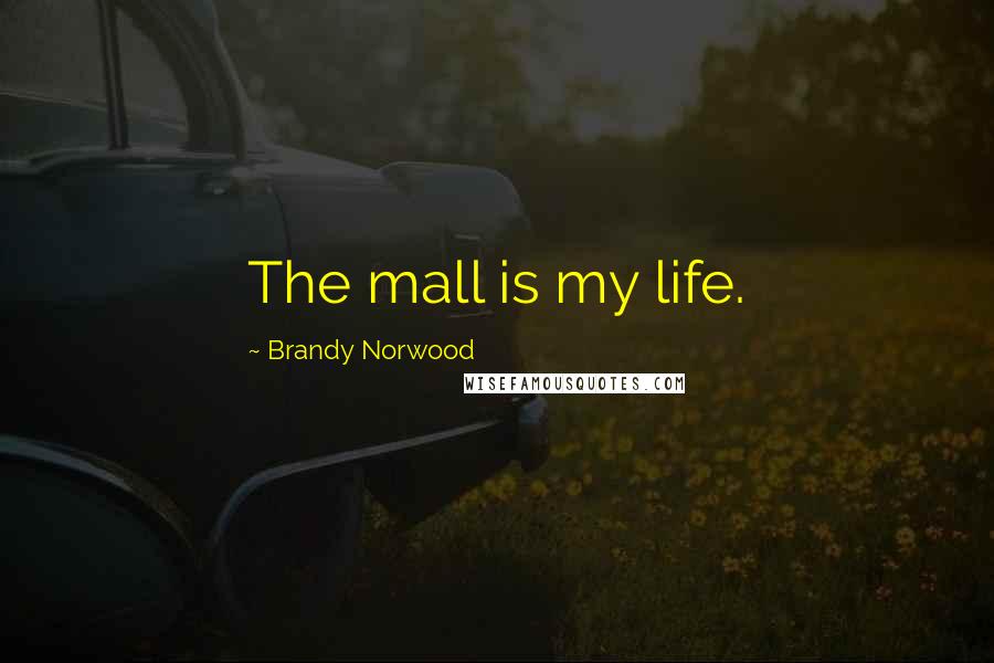 Brandy Norwood Quotes: The mall is my life.