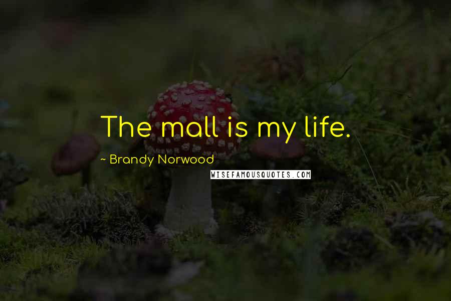 Brandy Norwood Quotes: The mall is my life.