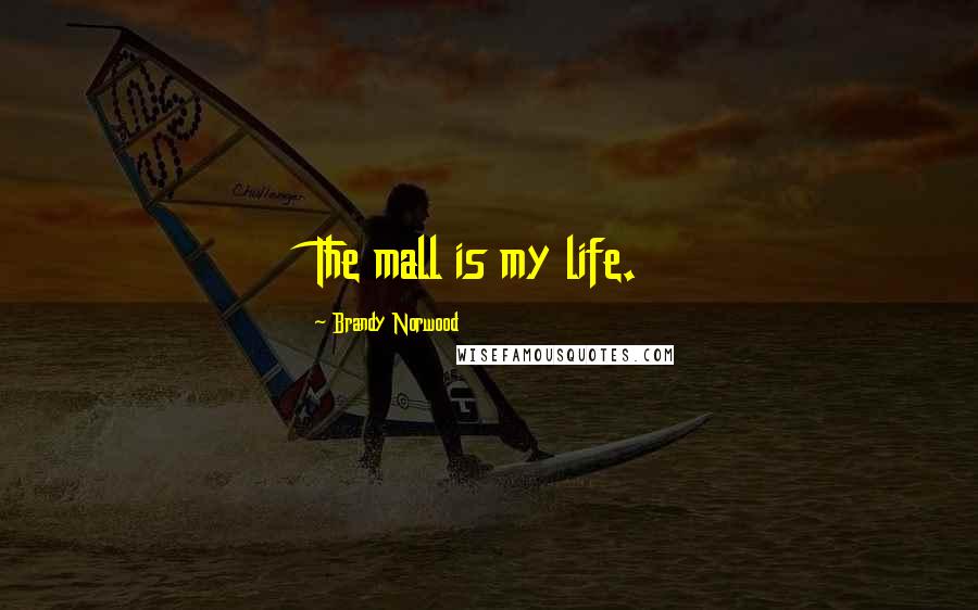 Brandy Norwood Quotes: The mall is my life.