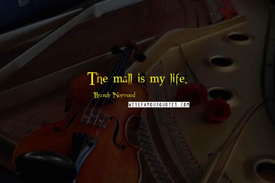 Brandy Norwood Quotes: The mall is my life.