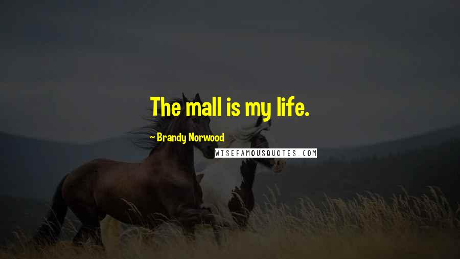 Brandy Norwood Quotes: The mall is my life.