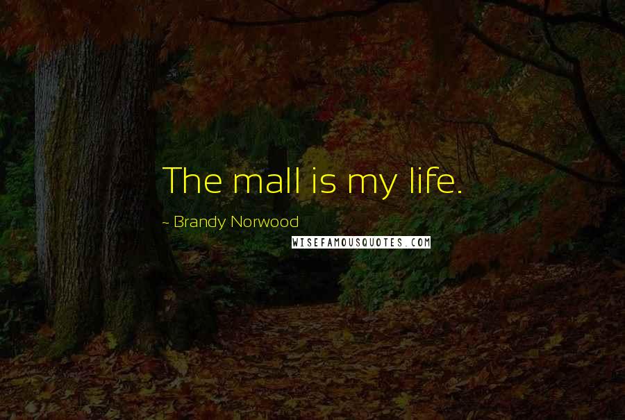 Brandy Norwood Quotes: The mall is my life.