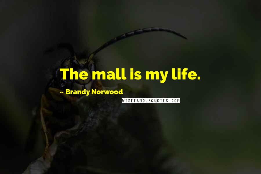 Brandy Norwood Quotes: The mall is my life.