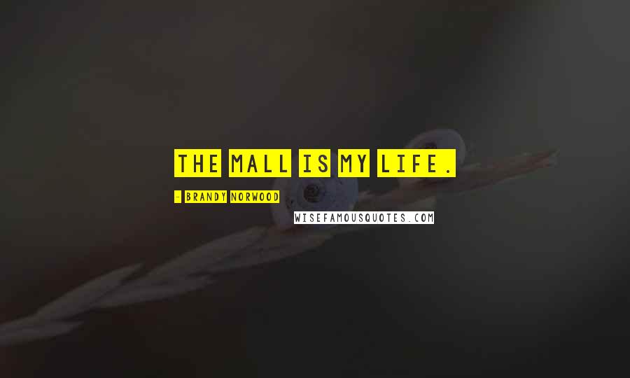 Brandy Norwood Quotes: The mall is my life.