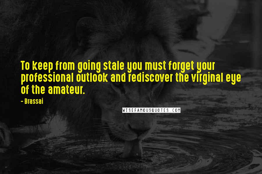 Brassai Quotes: To keep from going stale you must forget your professional outlook and rediscover the virginal eye of the amateur.