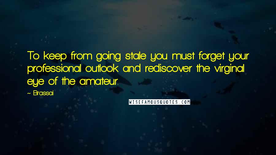 Brassai Quotes: To keep from going stale you must forget your professional outlook and rediscover the virginal eye of the amateur.