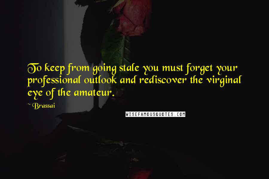 Brassai Quotes: To keep from going stale you must forget your professional outlook and rediscover the virginal eye of the amateur.