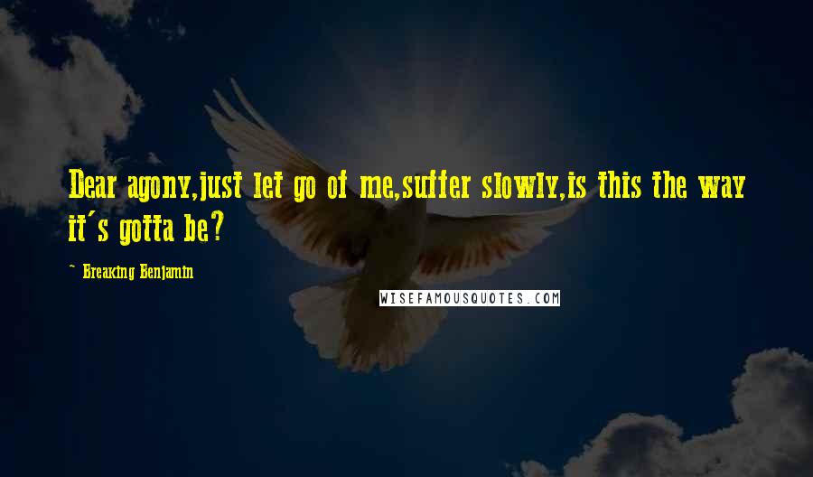 Breaking Benjamin Quotes: Dear agony,just let go of me,suffer slowly,is this the way it's gotta be?