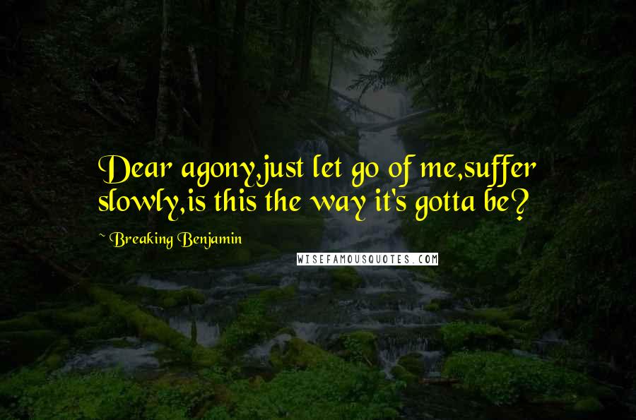 Breaking Benjamin Quotes: Dear agony,just let go of me,suffer slowly,is this the way it's gotta be?