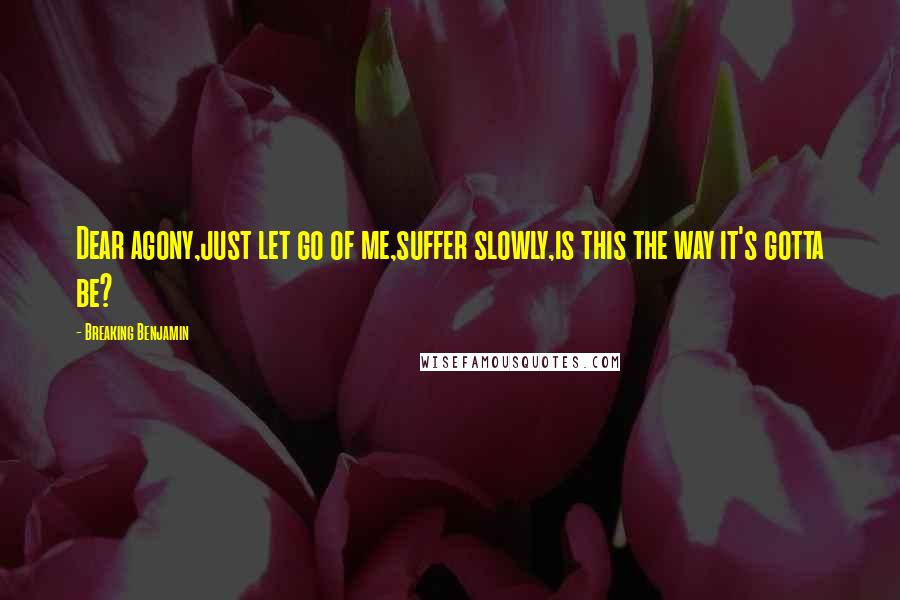 Breaking Benjamin Quotes: Dear agony,just let go of me,suffer slowly,is this the way it's gotta be?