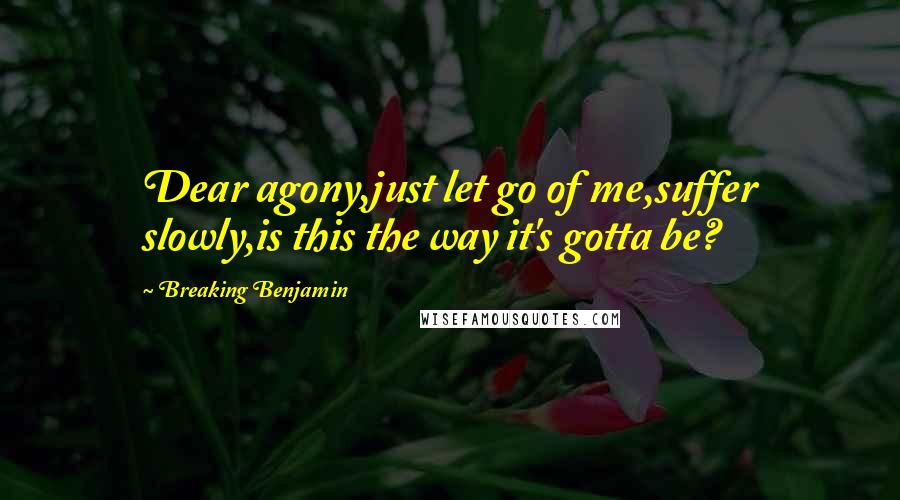 Breaking Benjamin Quotes: Dear agony,just let go of me,suffer slowly,is this the way it's gotta be?