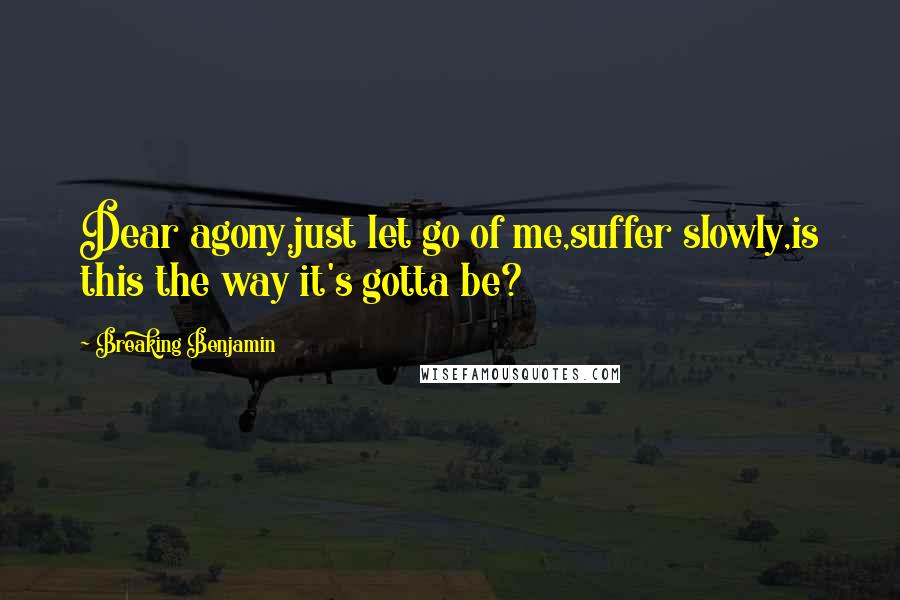 Breaking Benjamin Quotes: Dear agony,just let go of me,suffer slowly,is this the way it's gotta be?