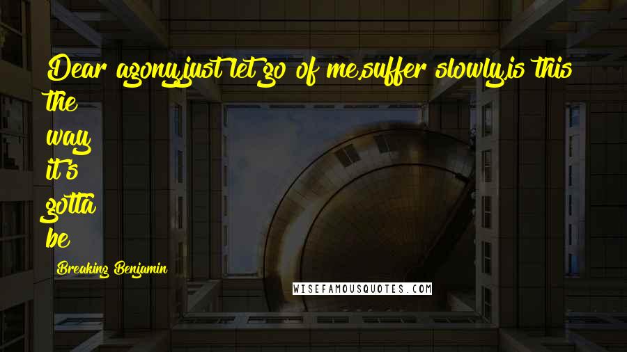 Breaking Benjamin Quotes: Dear agony,just let go of me,suffer slowly,is this the way it's gotta be?