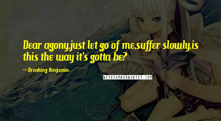 Breaking Benjamin Quotes: Dear agony,just let go of me,suffer slowly,is this the way it's gotta be?