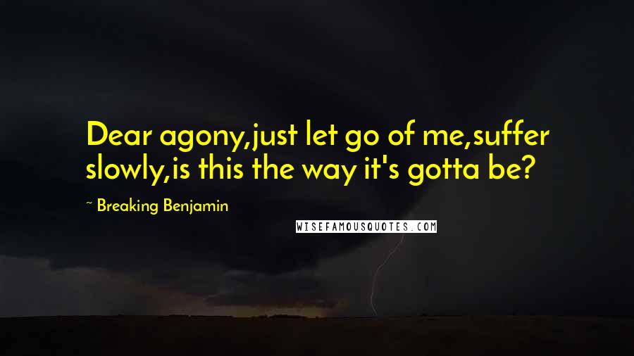 Breaking Benjamin Quotes: Dear agony,just let go of me,suffer slowly,is this the way it's gotta be?