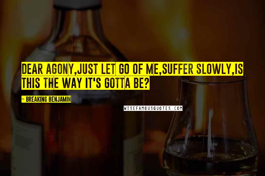 Breaking Benjamin Quotes: Dear agony,just let go of me,suffer slowly,is this the way it's gotta be?