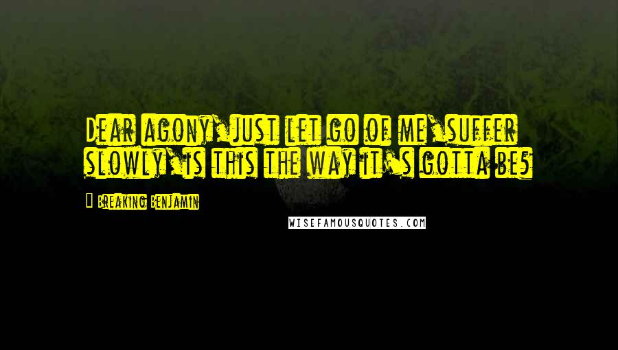 Breaking Benjamin Quotes: Dear agony,just let go of me,suffer slowly,is this the way it's gotta be?