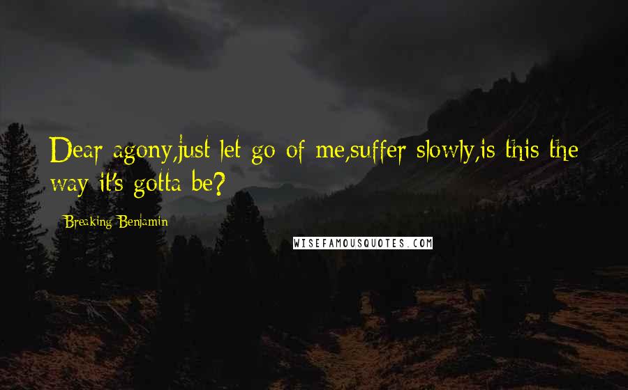 Breaking Benjamin Quotes: Dear agony,just let go of me,suffer slowly,is this the way it's gotta be?