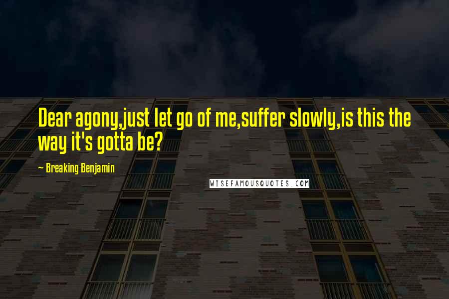 Breaking Benjamin Quotes: Dear agony,just let go of me,suffer slowly,is this the way it's gotta be?