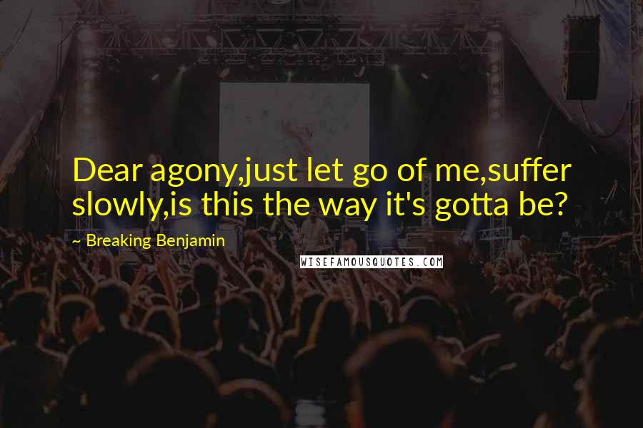 Breaking Benjamin Quotes: Dear agony,just let go of me,suffer slowly,is this the way it's gotta be?