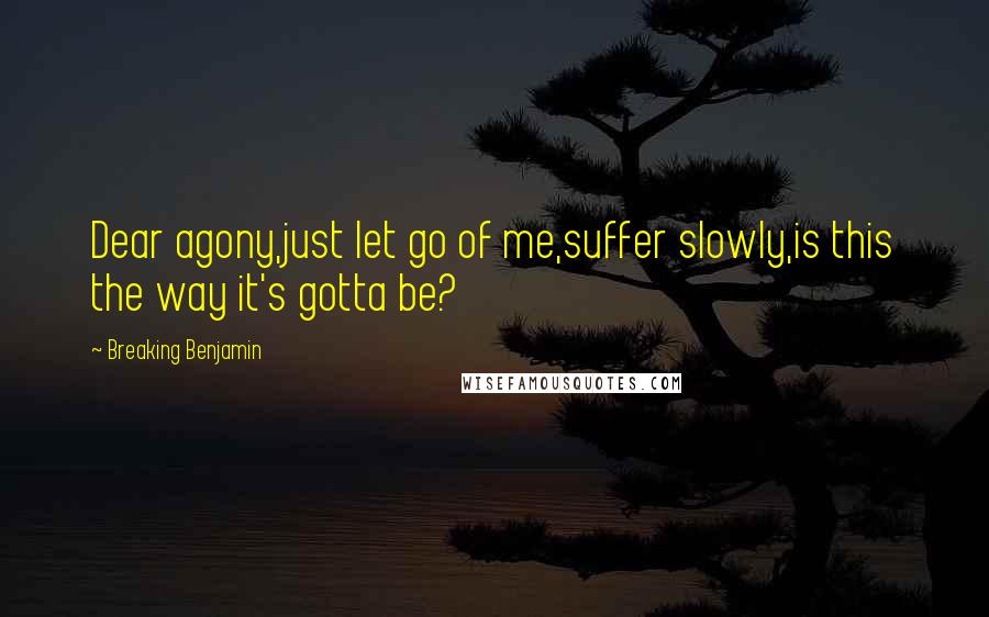 Breaking Benjamin Quotes: Dear agony,just let go of me,suffer slowly,is this the way it's gotta be?