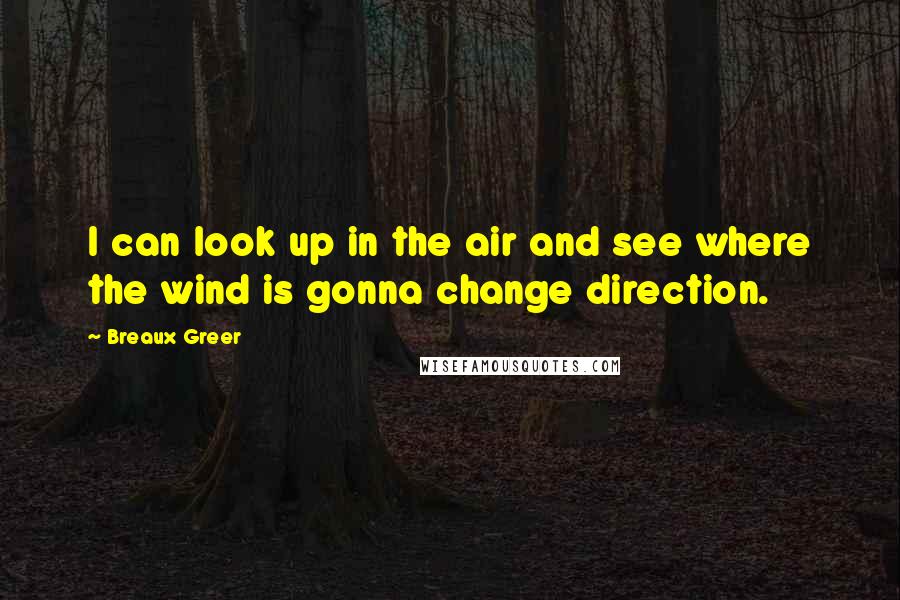 Breaux Greer Quotes: I can look up in the air and see where the wind is gonna change direction.