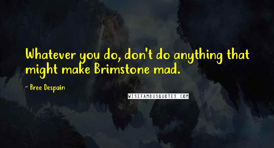Bree Despain Quotes: Whatever you do, don't do anything that might make Brimstone mad.