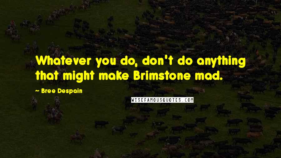 Bree Despain Quotes: Whatever you do, don't do anything that might make Brimstone mad.