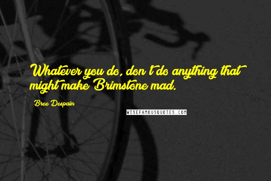 Bree Despain Quotes: Whatever you do, don't do anything that might make Brimstone mad.