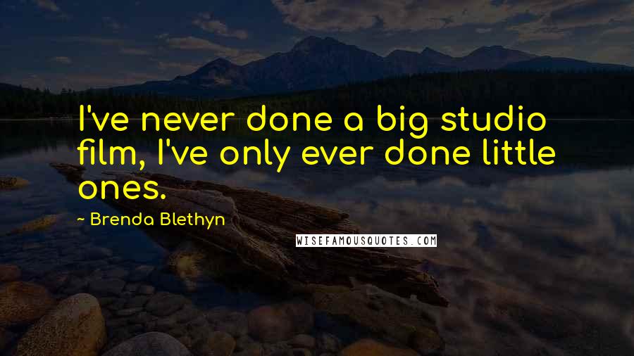 Brenda Blethyn Quotes: I've never done a big studio film, I've only ever done little ones.