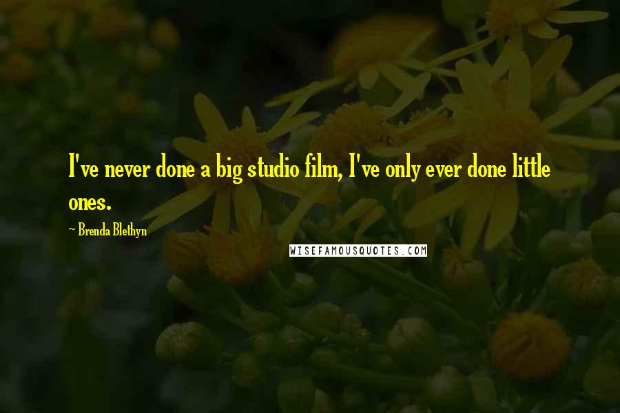 Brenda Blethyn Quotes: I've never done a big studio film, I've only ever done little ones.