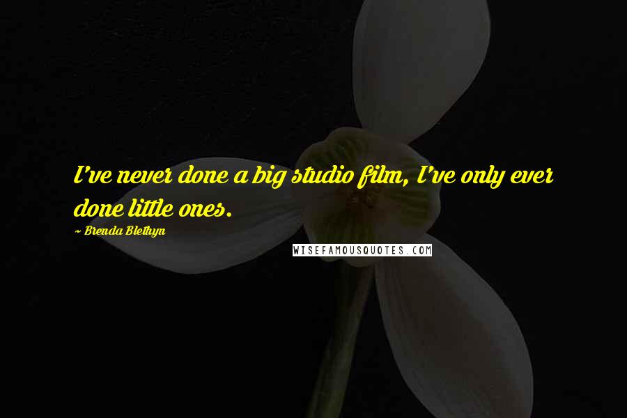 Brenda Blethyn Quotes: I've never done a big studio film, I've only ever done little ones.