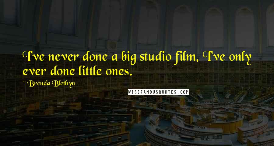 Brenda Blethyn Quotes: I've never done a big studio film, I've only ever done little ones.
