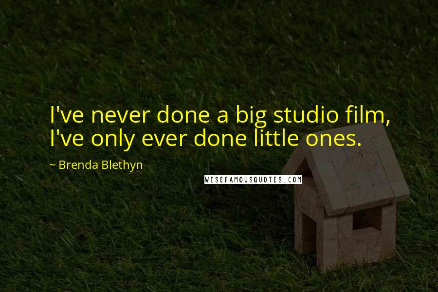 Brenda Blethyn Quotes: I've never done a big studio film, I've only ever done little ones.