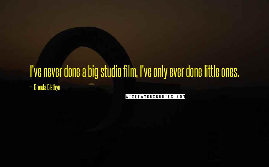 Brenda Blethyn Quotes: I've never done a big studio film, I've only ever done little ones.