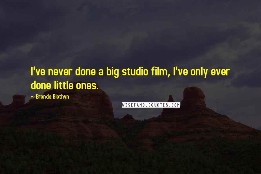 Brenda Blethyn Quotes: I've never done a big studio film, I've only ever done little ones.