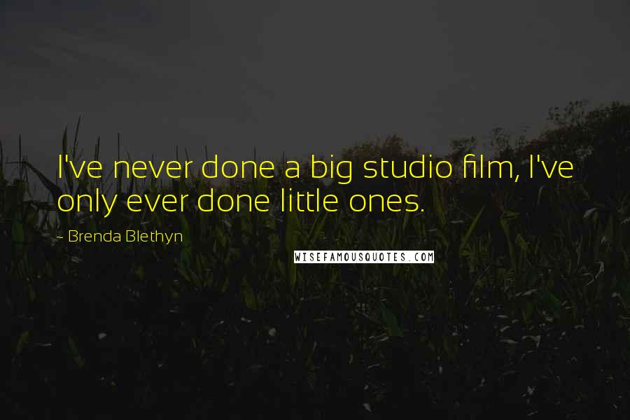 Brenda Blethyn Quotes: I've never done a big studio film, I've only ever done little ones.