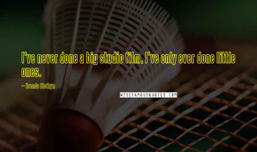 Brenda Blethyn Quotes: I've never done a big studio film, I've only ever done little ones.