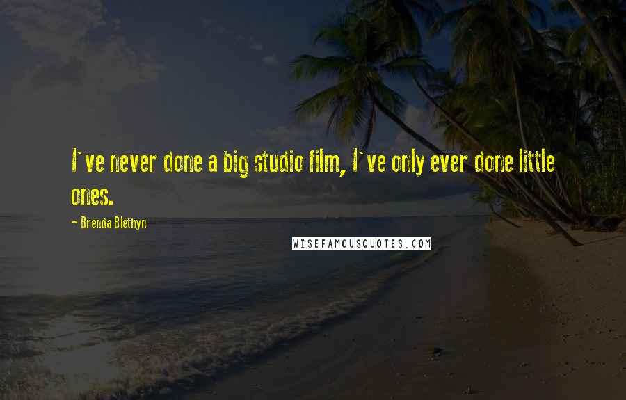 Brenda Blethyn Quotes: I've never done a big studio film, I've only ever done little ones.
