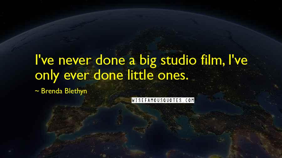 Brenda Blethyn Quotes: I've never done a big studio film, I've only ever done little ones.