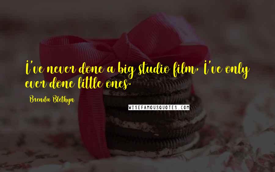 Brenda Blethyn Quotes: I've never done a big studio film, I've only ever done little ones.