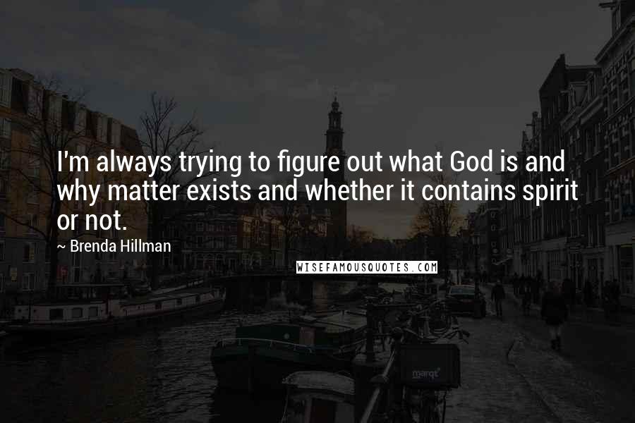 Brenda Hillman Quotes: I'm always trying to figure out what God is and why matter exists and whether it contains spirit or not.