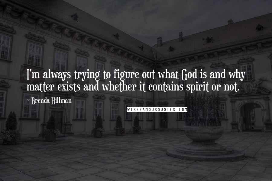 Brenda Hillman Quotes: I'm always trying to figure out what God is and why matter exists and whether it contains spirit or not.